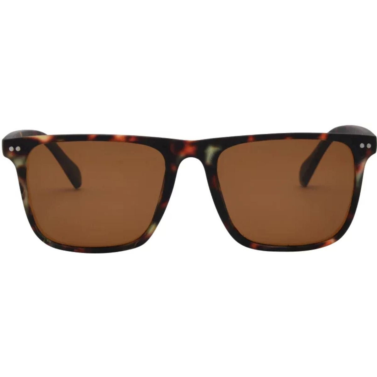 I - Sea Dax Sunglasses in Tort/Brown - BoardCo